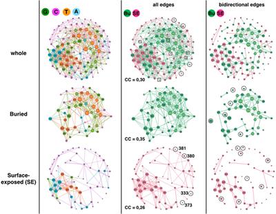 GCAT: A network model of mutational influences between amino acid positions in PSD95pdz3